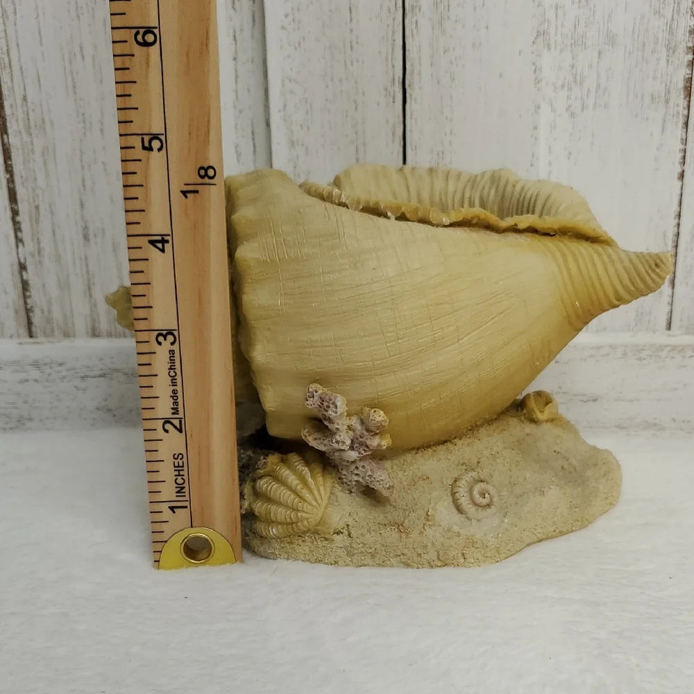 Conch Shell Seashell Planter Beach Ocean Coastal Decor